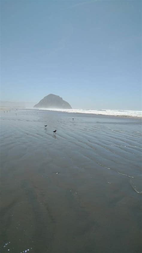 chapala morro bay